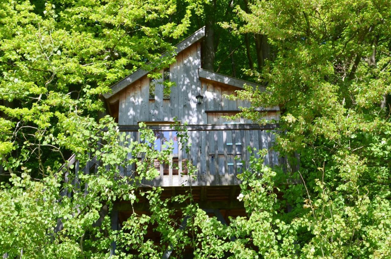 Baumhaushotel Solling Uslar Dış mekan fotoğraf